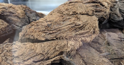 A piece of shipwreck from the 1700s pulled from the York River