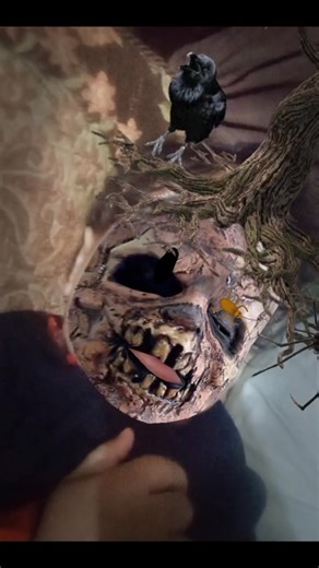 Spooky Tree Jin Baba Adventure for Kids