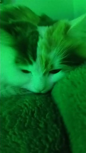 Abonnés vous svp pour voir d autre video sur JAVA et mettez des commentaires et des likes svp