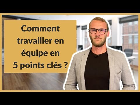 How to work in a team in 5 key points?