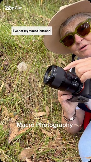 24K views · 80 reactions | Macro photography It’s photographing the tiny world Getting close to your subject to capture the detail There are a few things to consider to get a successful photo please share, that would be a huge help follow for continued photography and camera tips #macrophotography @sonyalpha @cam_strap | Learn how to Photograph | Facebook