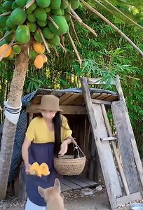 3.4M views · 64K reactions | Enjoy Natural Life With Beautiful Garden | Prayer to the Divine Mercy | Facebook