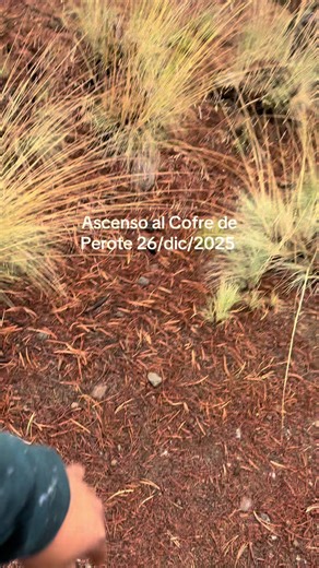 Ascenso al Cofre de Perote: Primera Nevada del Año