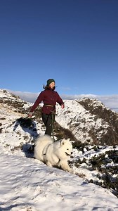 Get your hike on with our breathable Cyclone jacket, it's the perfect companion for your weekend adventures. Gear up and get out and play! 🐕🏔 | RevolutionRace