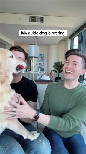 My Guide Dog is Retiring: A Heartfelt Journey