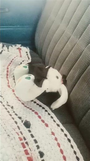 nadie me gana #humor #memes #elpersonajedelasemana