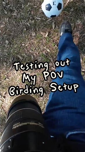 POV Birding at the Playground