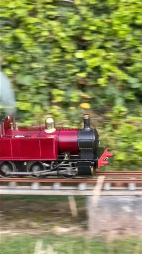 WATCH THIS MINIATURE STEAM #LOCOMOTIVE PASS BY! 🛤️ #MiniatureRailway #SteamTrain #ModelEngineering