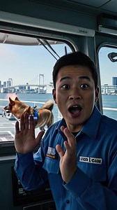 99K views · 570 reactions | K-9 Akita Saves Crew From Exploding Ship! #rescue #animals #pets | Vu Studios | Facebook