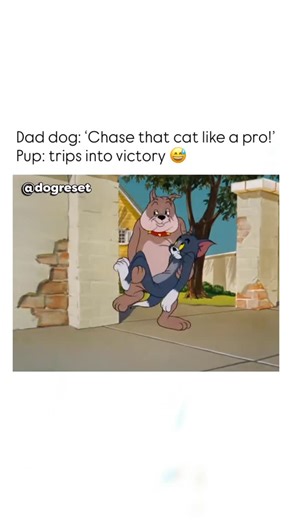 DogReset on Instagram: "🐶 Interesting fact: Did you know that Tom and Jerry weren’t always named Tom and Jerry? In their 1940 debut short, Puss Gets the Boot, the cat was named Jasper and the mouse was unnamed (though nicknamed Jinx by animators). The iconic names were chosen through an intra-studio contest. Animator John Carr won $50 for suggesting “Tom and Jerry,” likely inspired by a popular 19th-century eggnog cocktail. The duo went on to win seven Academy Awards, tying with Disney’s Silly