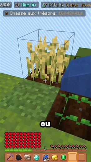 Ce joueur peut avoir 50 coeurs sur minecraft ?! #minecraft #oneblock #skyblock #hyvers