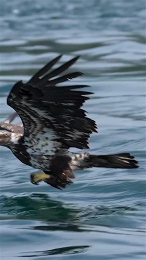 Stabilization Excellence in Video Capture