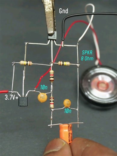 Bird Sound Experiment: A Unique DIY Project