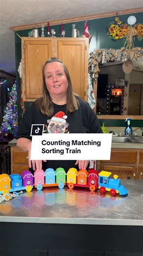 This counting, sorting, matching train is such a fun way to help toddlers learn and play at the same time 🚂✨ Bright pieces, hands-on learning, and so great for building fine motor skills! #toddlertoys #toytrain #montessoritoys #educationaltoys #finemotorskills @Hahaland