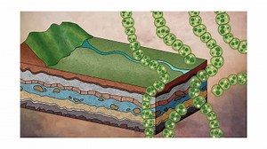 Scientists Use the Great Oxidation Event and How Organisms Adapted to It to Map Bacterial Evolution | Newswise