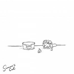 1.3M views · 24K reactions | It's World Sleep Day!  Shhh! Let them sleep... What's your cat's favorite nap spot? Stay on for our Simon's Cat Logic episode on sleeping places! | Simon's Cat | Facebook