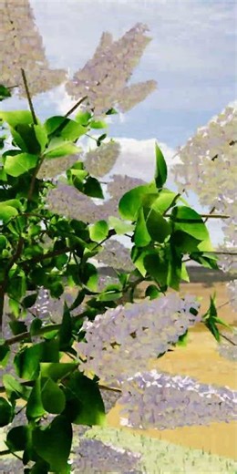 3D Illustration style ( 라일락나무 , lilac tree)