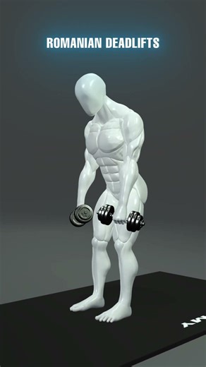 Build a Strong Spine 💪 | Erector Spinae Training Guide