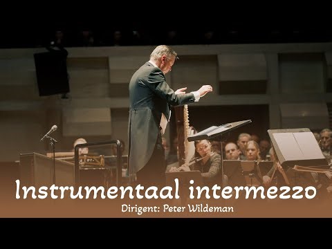 Instrumentaal intermezzo o.l.v. Peter Wildeman
