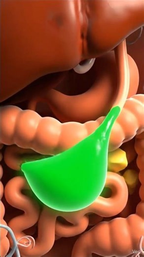 Gallbladder (पित्ताशय):Digestive System Part 9 #shorts #shortvideo #apluscare #digestivesystem