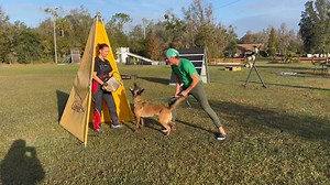 48K views · 804 reactions | Challenge, Conflict, and Discomfort are...