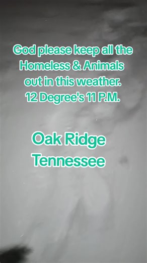 Solidarity with the Homeless & Animals in Snowstorm