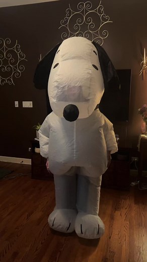 Snoopy Dance Compilation