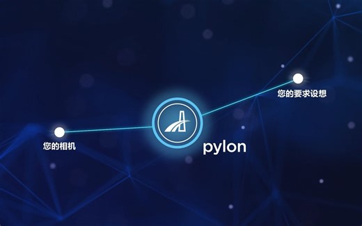 03 Basler pylon语言切换