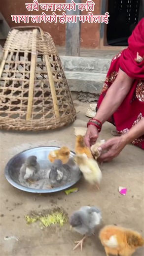 Pasu panchi mathiy Kati derai maya Mamilae