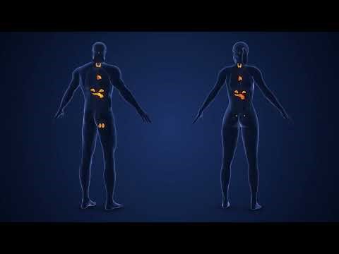 HPG Axis Explained: How Hormones Control Fertility | Reproductive Medicine Overview