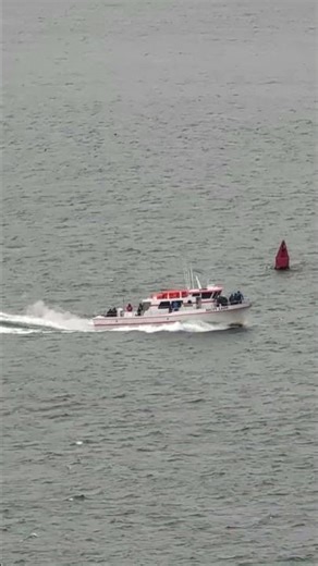 sport fishing vessel "SALTY LADY" 9/12/25