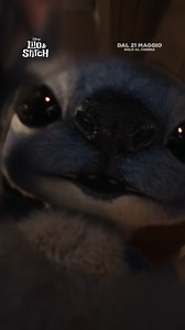 21K views · 397 reactions | Sta solo esplorando la sua nuova casa...  Non perdere Lilo & Stitch, dal 21 Maggio SOLO al cinema! #LiloEStitch | Walt Disney Studios | Facebook