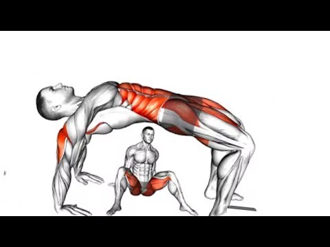 10 Exercises to Improve Blood Circulation