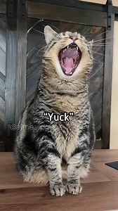 109K views · 2.6K reactions | Just a conversation with Penny #penny | Aymie And Family Fan | Facebook