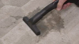 The World’s First, and ONLY Upright Vacuum with Water Filtration! ✅ Micro Silver to reduce germs and bacteria! ✅ Never loses suction or airflow! ✅ No dust, no mess, no bacteria! Get $100 OFF & FREE Gifts (worth $50) Today! ..Hurry, Limited Time Only! | Quantum Vacuum | Facebook