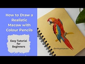How to Draw a Realistic Macaw with Colour Pencils | Easy Step by Step for Beginners #macao #draw