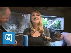 Vogelspinnen und Königspythons: Das ist die neue Entdeckerhöhle im Münchner Tierpark Hellabrunn