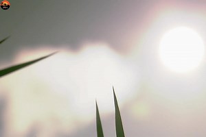 272K views · 8.8K reactions | Man" Woman Wild Part 5 [ हिन्दी डॉक्यूमेंट्री ] #wildlife #nature #fishing #discovery #discoverychannel #jungle Survivals World Wilds Earth Tv | Beyond The Wild | Facebook