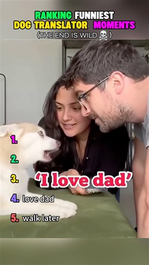 Ranking funniest dog translator moments #dog #translation #funny #cute #pets