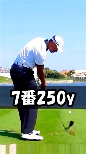 【驚愕の弾道】7番250y飛ばす世界標準のスイングがこちらです #WGSL #ベタ足スイング #前倒し