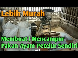Membuat / Mencampur Pakan Ayam Petelur Sendiri Mudah Untuk Skala Rumahan