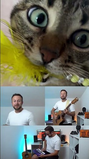 Serafino cat song #cats