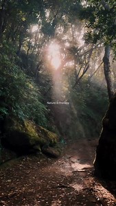 Nature is therapy #nature #natur #outdoors #forest #roamtheplanet | Mathias Koch