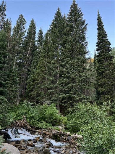 Understanding the Pro-Life Perspective on Abortion