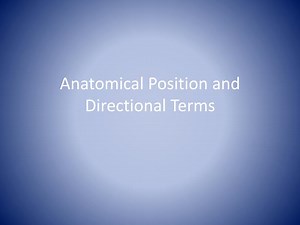 Anatomical Position and Directional Terms - SlideServe