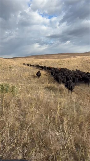 Having fun | Scott Kuhn