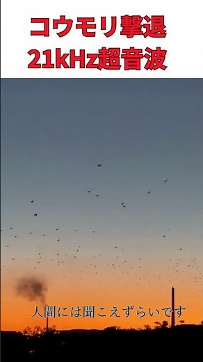 【コウモリ撃退音】超音波で簡単コウモリ撃退！21kHzの効果とは？