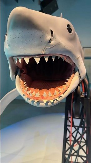 Dive into the “JAWS” Exhibition: Uncover the Thrills of the Iconic Film 🦈