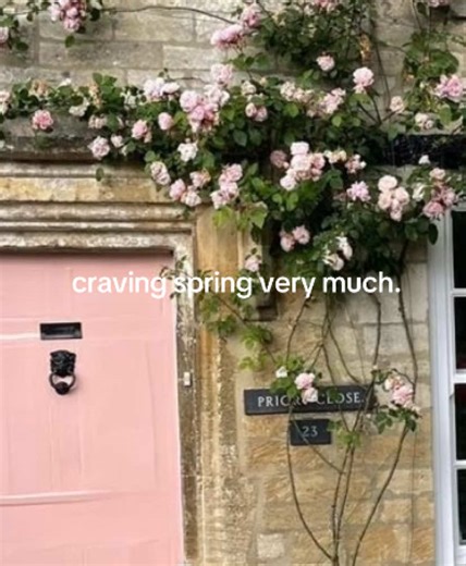 Embrace the Beauty of Spring: A Seasonal Celebration