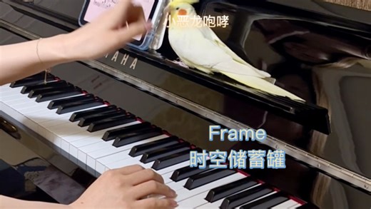 frame | 我把瞬间，存进永恒的帧